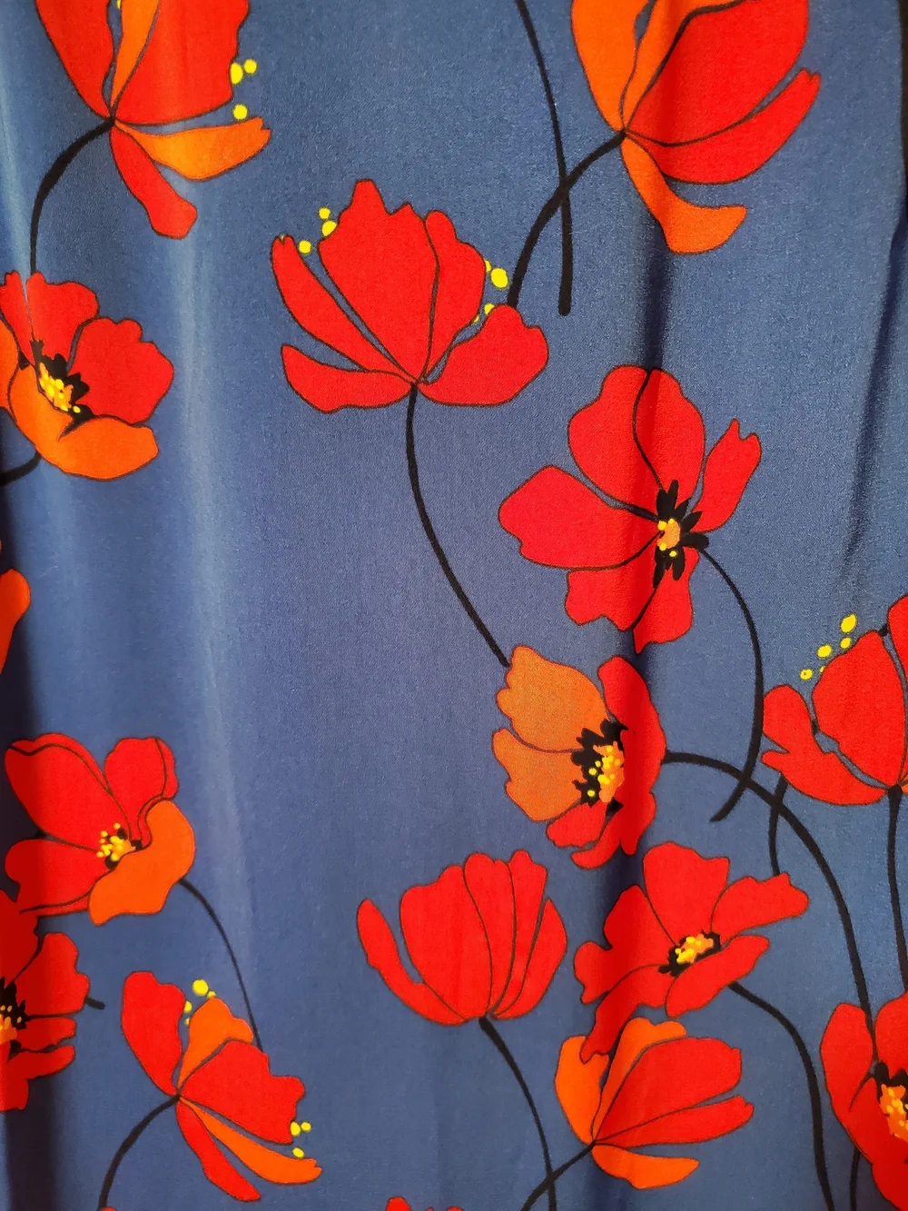 41 Hawthorn Blue Dress with Red Floral Print - Picture 7 of 9